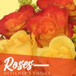 beautiful roses designers choice dc10120520.425